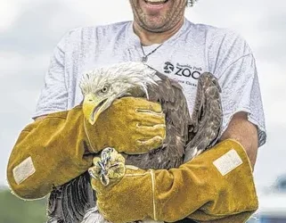 030d8cfbf92dfd9ab392fdcdd960bab0 e1759173248639