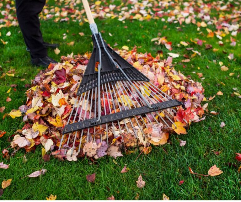 Yard Waste