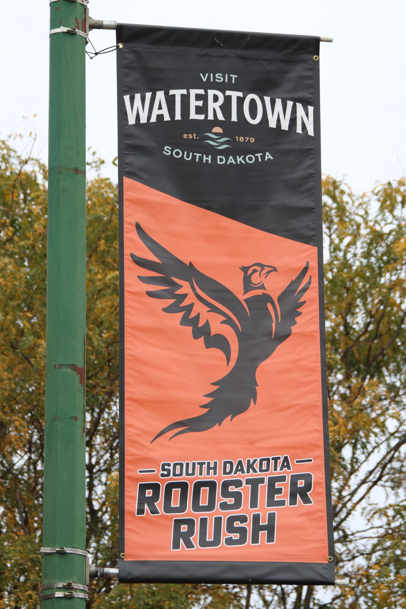Fact sheet pheasant season 2025 Watertown Current