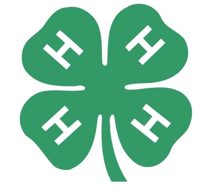 4 H logo
