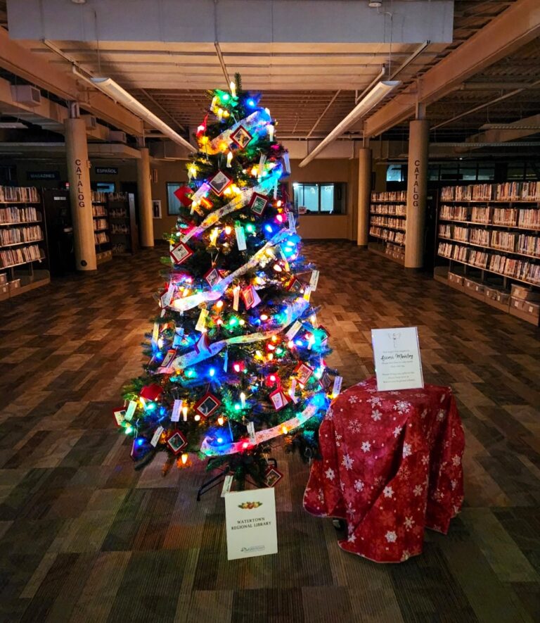 lights out library