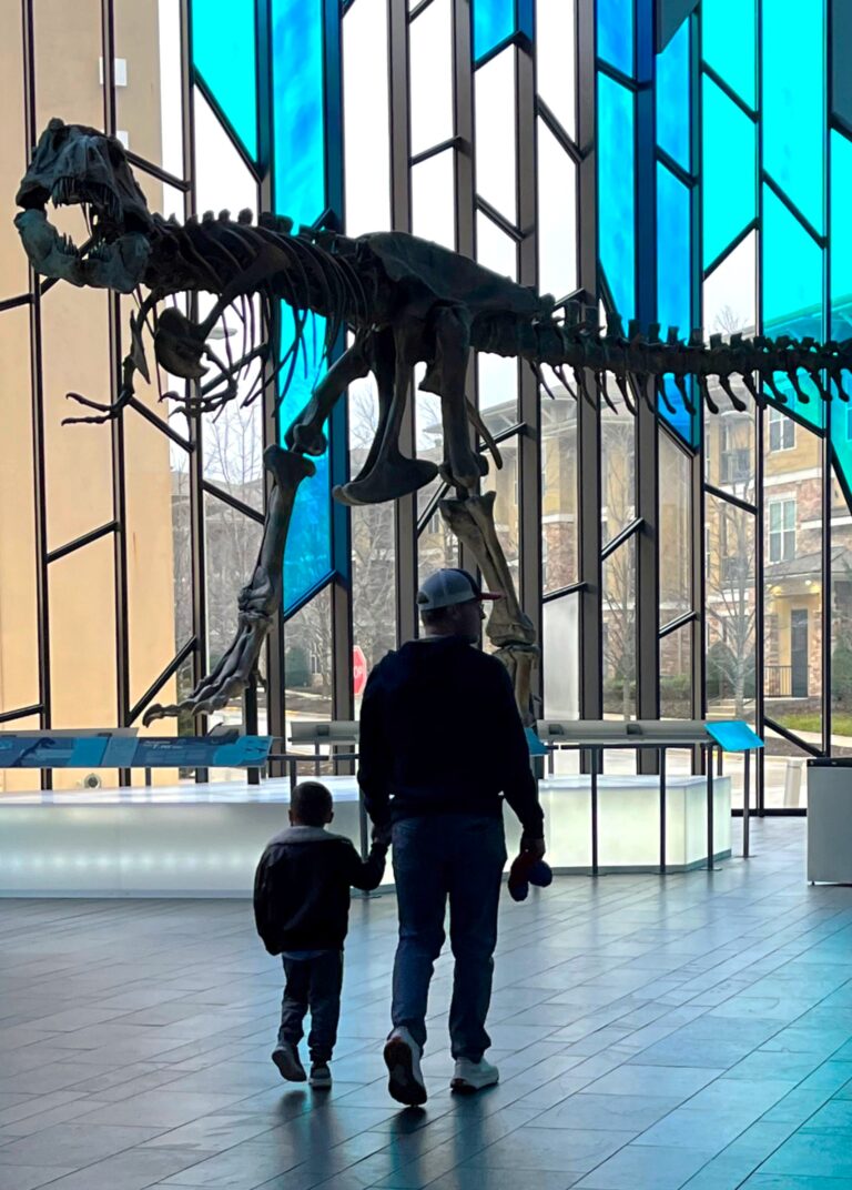 visiting T. rex skeleton