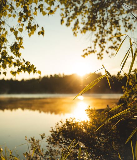 Lake Scene