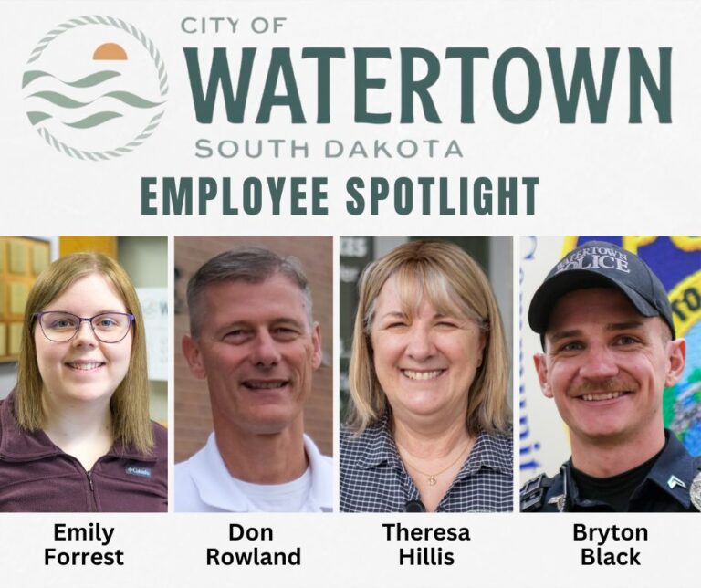 Employee Spotlight