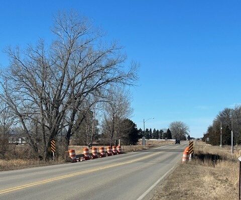 bridge2 e1773841300628