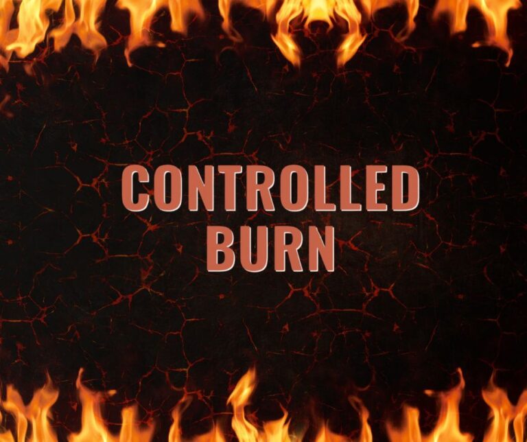 Controled burn