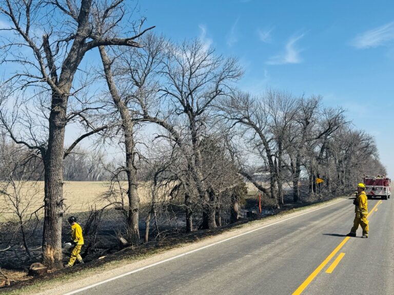 Grass fire