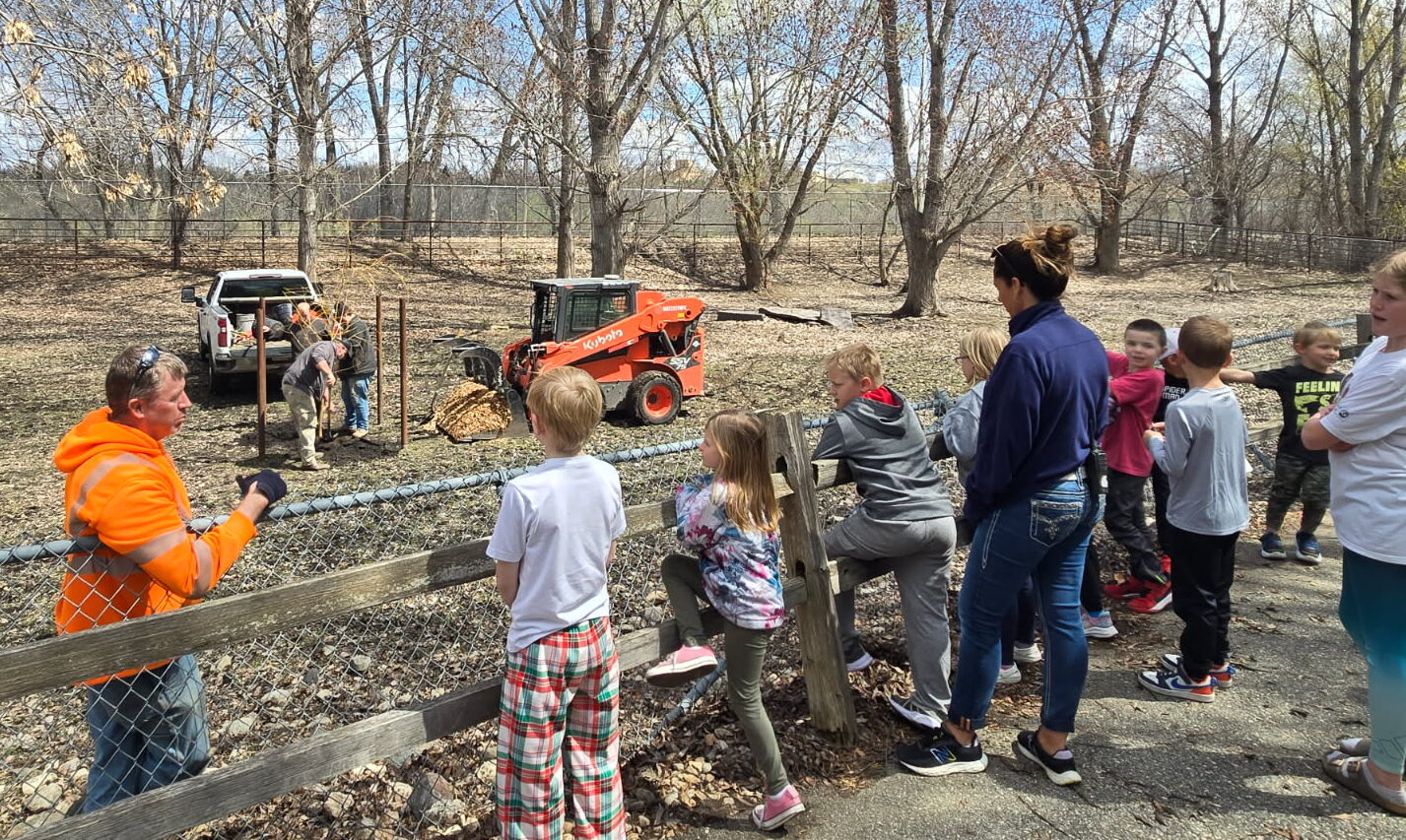 Zoo tree 3 e1745614288621