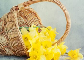 May Basket