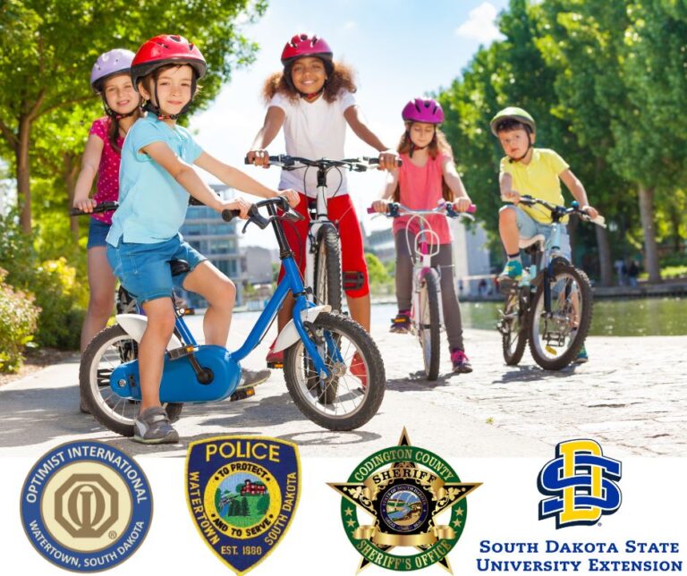 Bike Safety