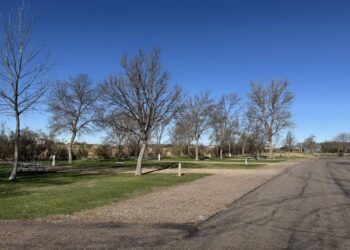 494425465 705839735282132 6812533577617041241 n