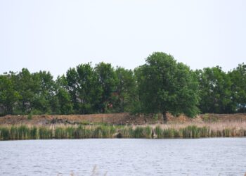 lot from Highway 212