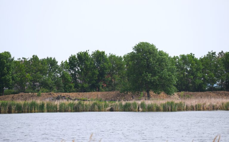 lot from Highway 212