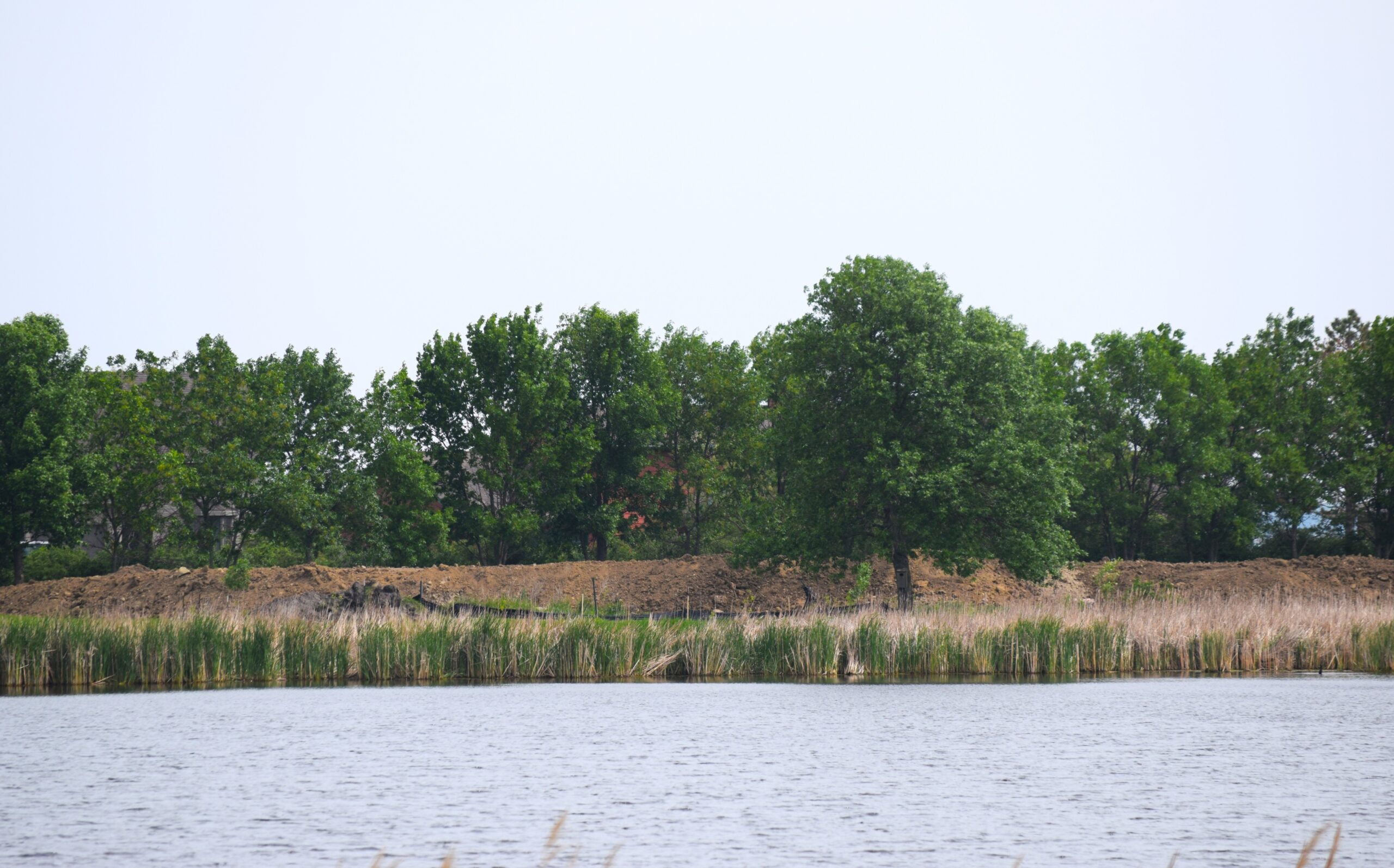 lot from Highway 212 scaled