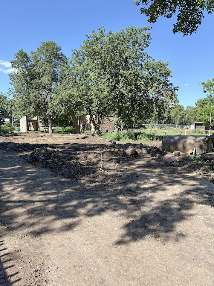 Wolf ground work