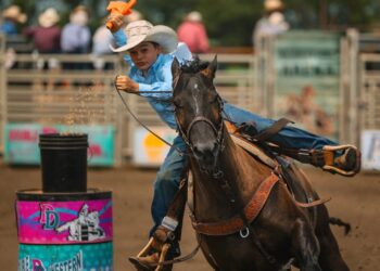 IMG 1611 e1752155575735