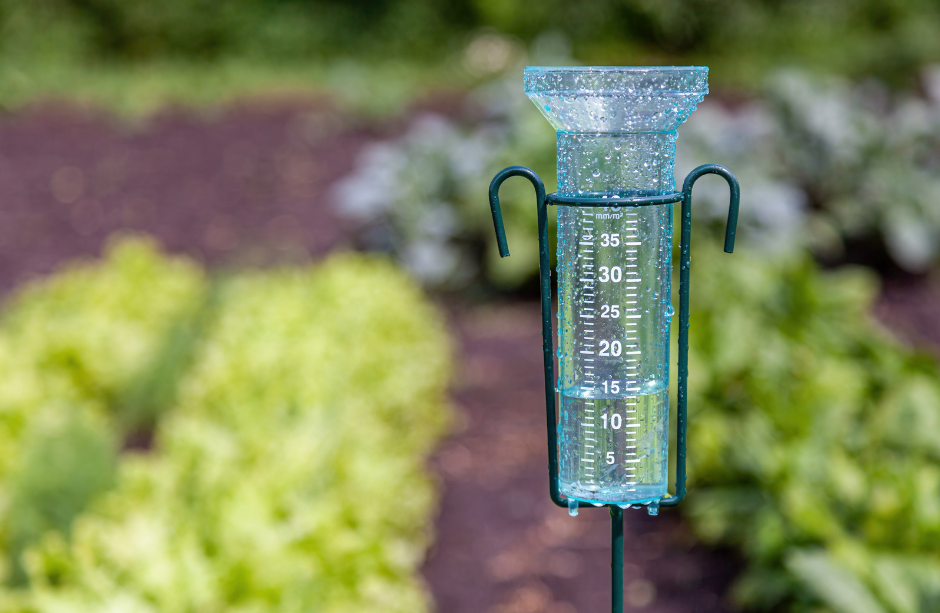 rain gauge
