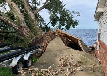 IMG 5583 scaled e1754499257389