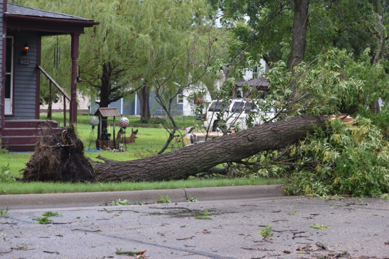 Aug 16 storm3