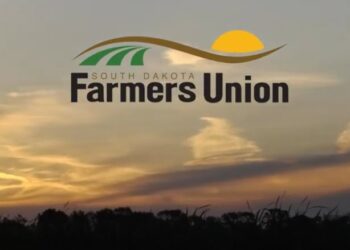 maxresdefault e1756313046667