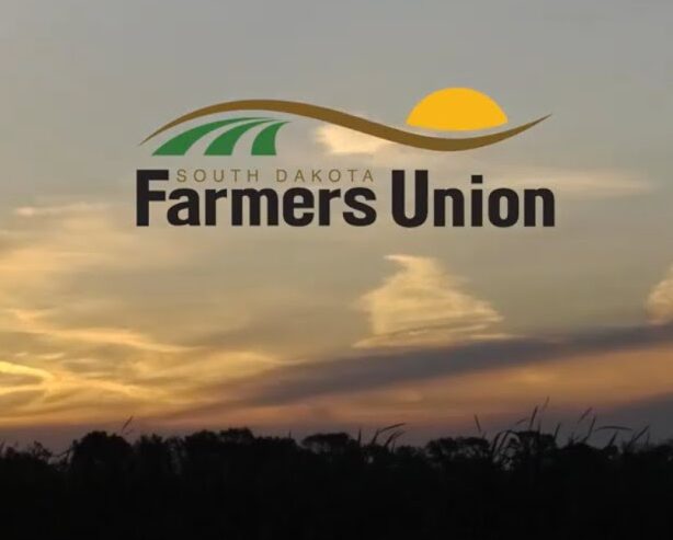 maxresdefault e1756313046667