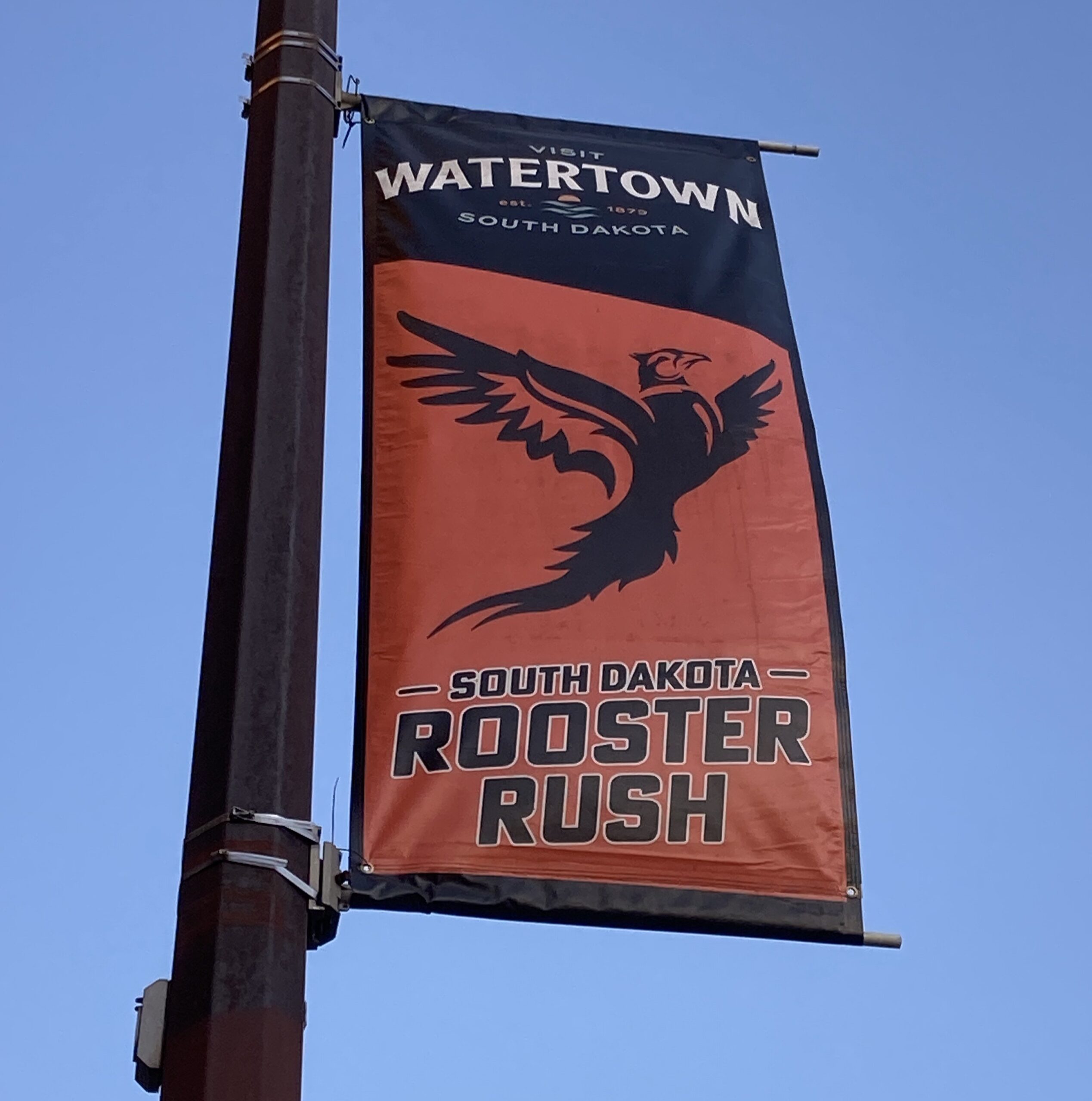 Rooster Rush