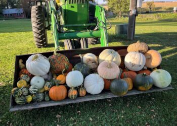 load o pumpkins