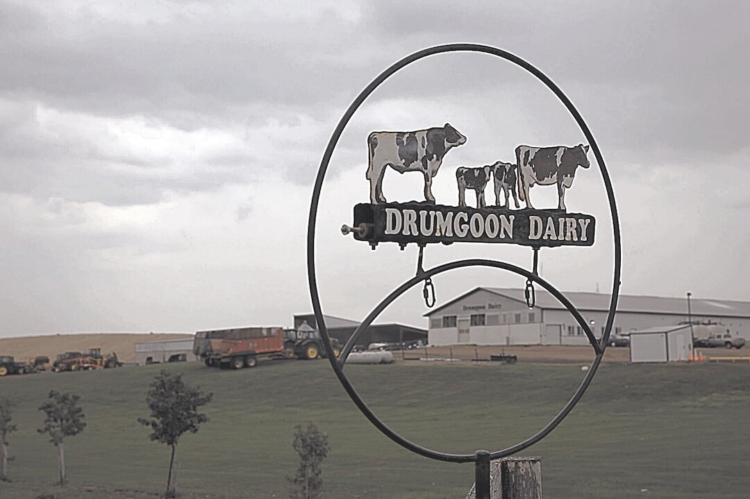 20251014 105324 976 BRK101425 PIC DrumgoonDairy 2
