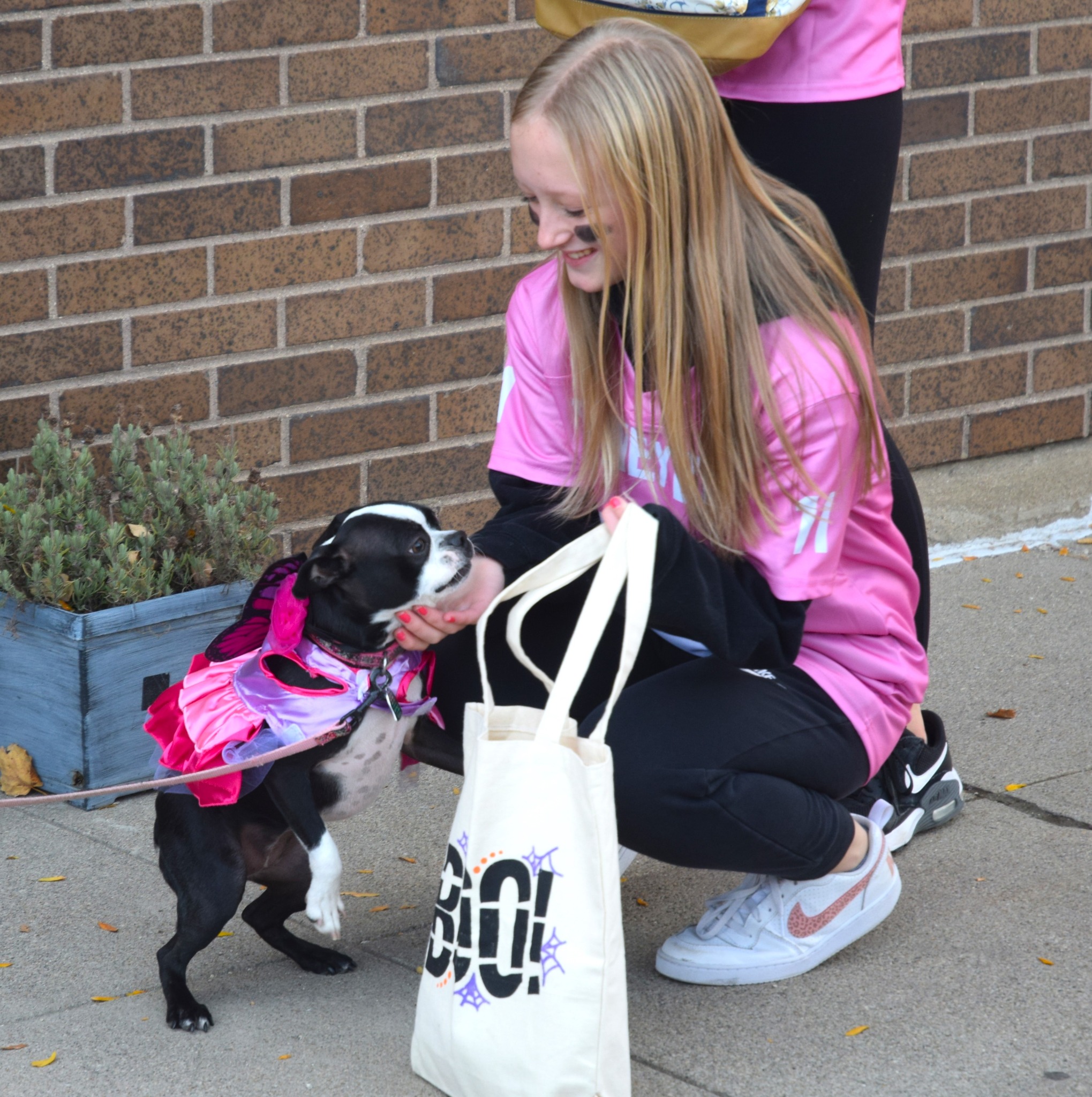 471312451 122134706204463740 2049681629641484781 n 1