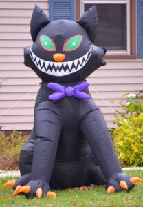 DSC 0056