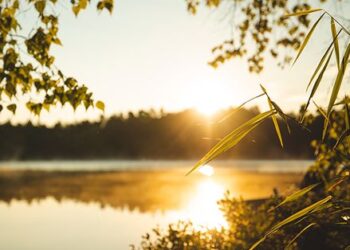 Lake Scene