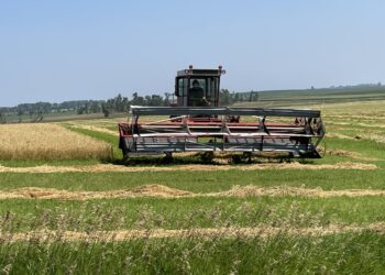 Poll: Support for Trump tariffs uneven in South Dakota 4 Chester farm harvest