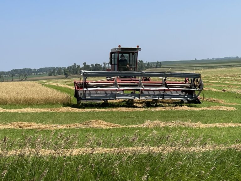 Chester farm harvest
