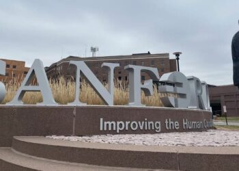 Screenshot 2025 11 17 131251