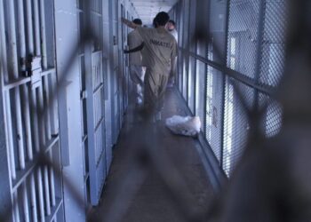 Screenshot 2025 12 01 094749