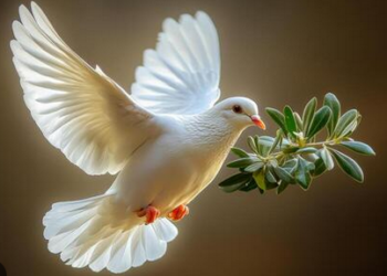 Another Dove