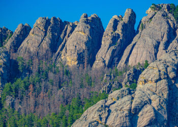 Black Hills