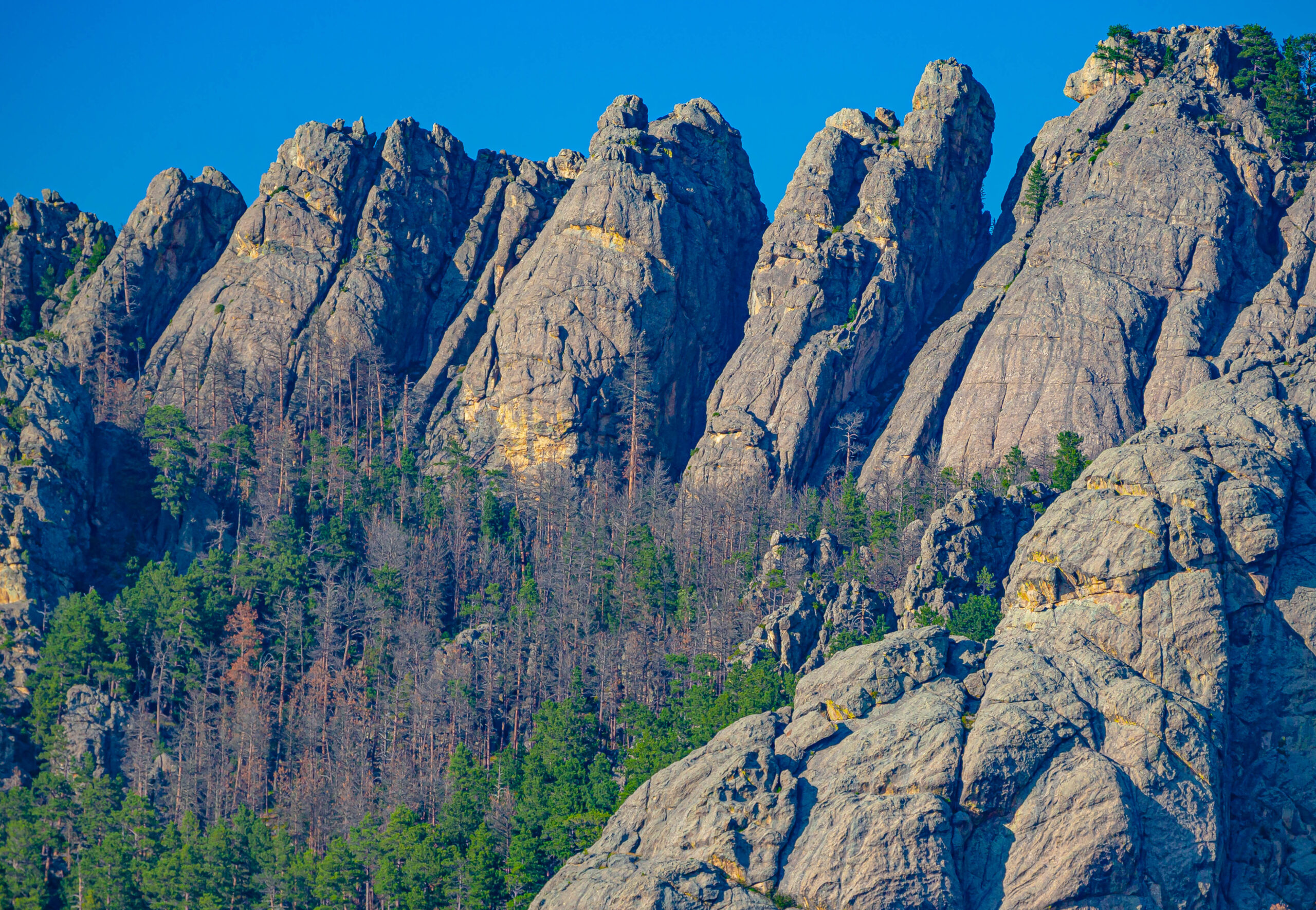 Black Hills