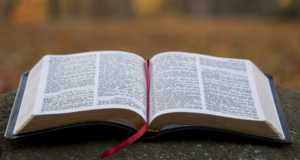 Bible image