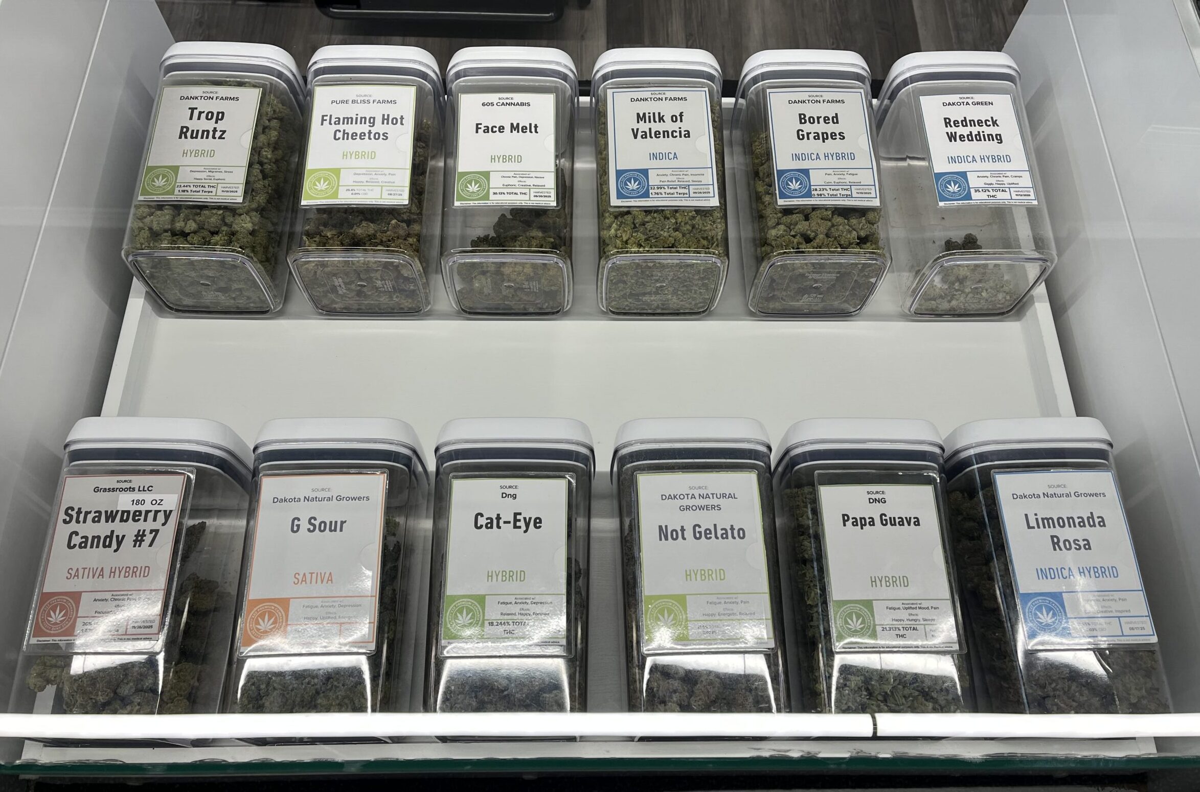 IMG 8269 e1769442924797