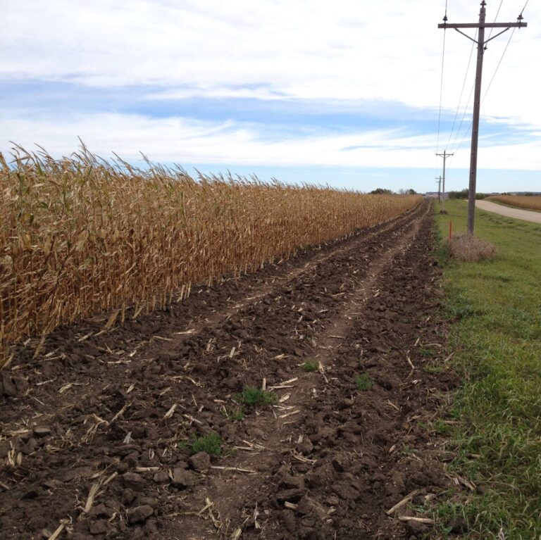 492132537 3993667824245197 1511058592724745180 n 1