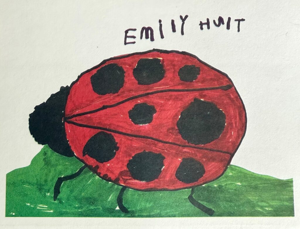 Ladybug