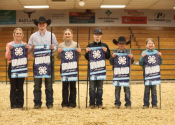 2026 necalf showmanship