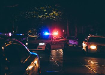 S.D.'s top cop ties Trump's immigration crackdown to state's falling crime rate 1 photo 1718592168437 8382e5b97736