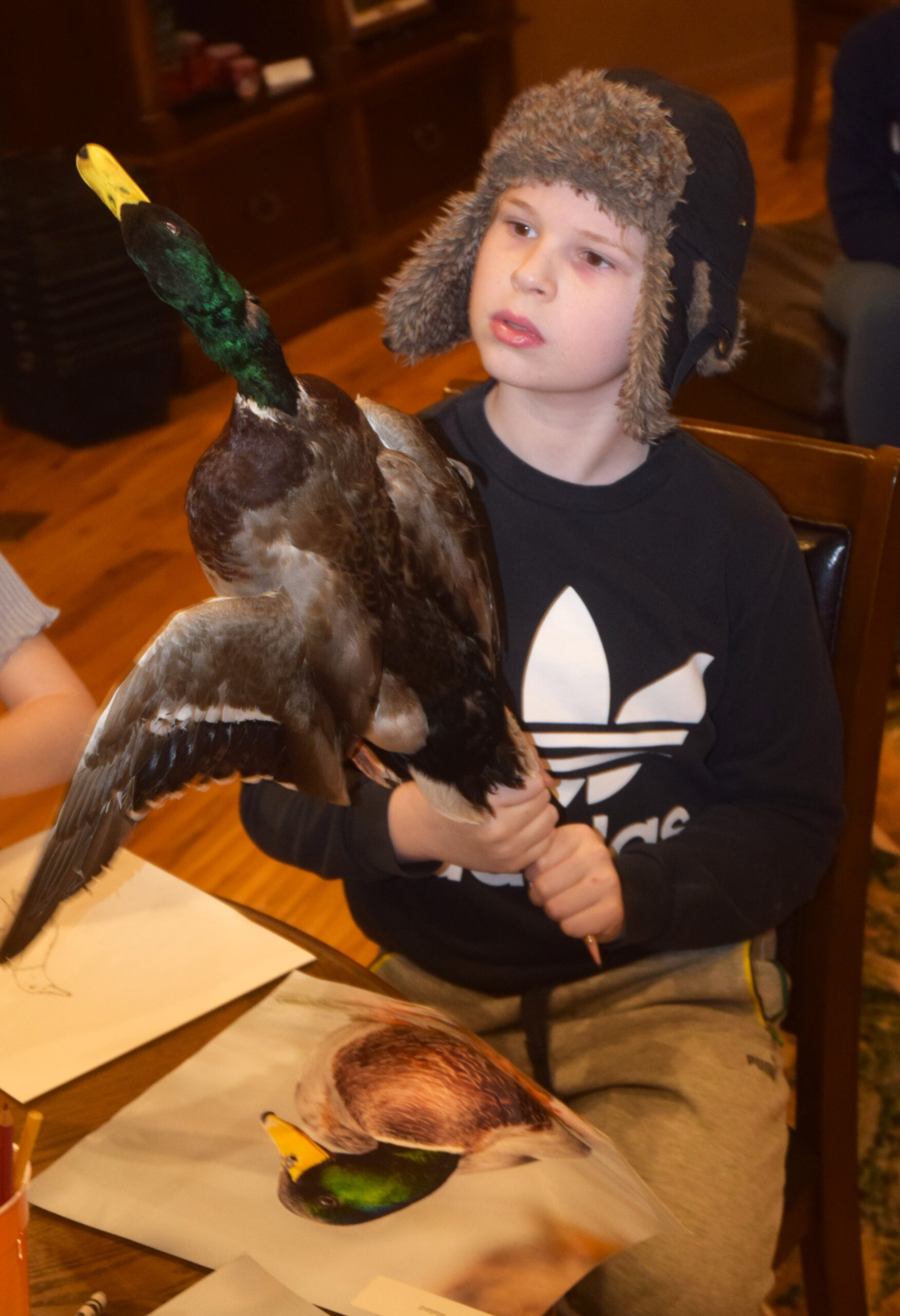 Duck4