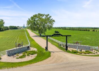 Joy Ranch