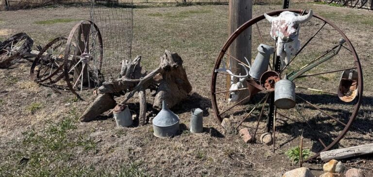 2026 4 10 Lower Brule chairman ranch skull 1