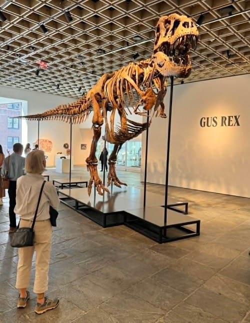Gus rex at Sothebys