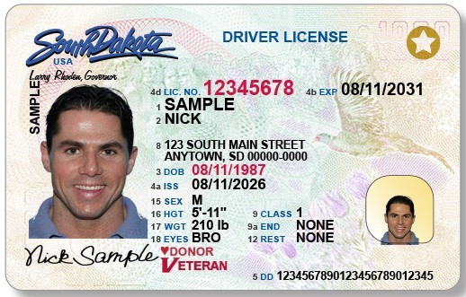 new sd drivers license