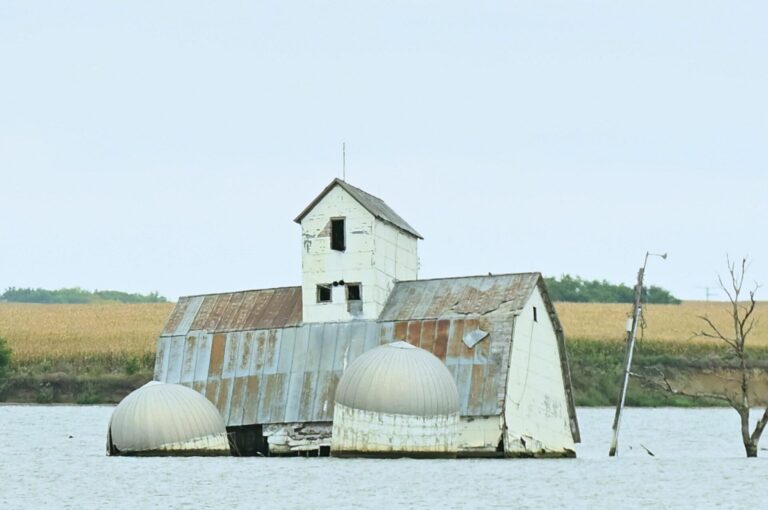 SUNKEN FARM